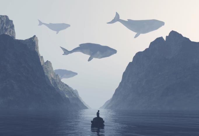 焦虑性测试 As量表