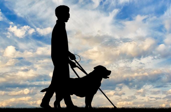 依赖性测试 DY量表