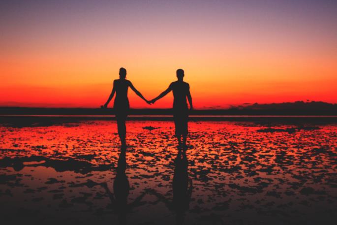 心动的信号·ABM16种动物的性格测试